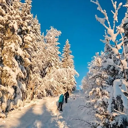 Large With Panoramic Wiews In Al, Hallingdal Ål