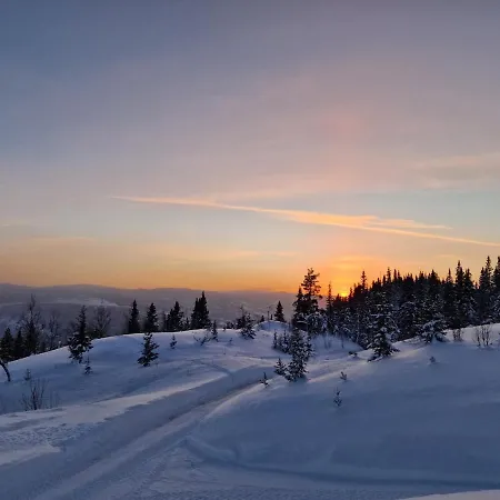 Large With Panoramic Wiews In Al, Hallingdal Σπίτι διακοπών *